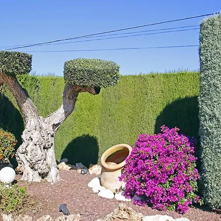 La Palmera 6